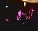 The Tweeks in Auckland New Zealand (part 1)