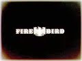 FIREBIRD SKT ROCKS OZZY CM.