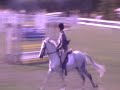Bantry Bays Dillon,   Jumpers Amberlea Meadows Sept 21, 2008