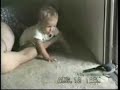 videogag animaux videogag animaux