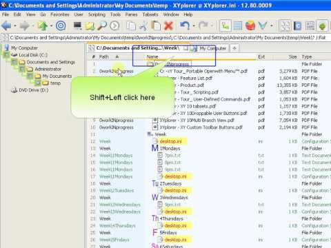 XYplorer Tutorial Branch View SORTING(v2)