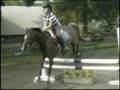 Horseback Riding (Tommy and Chloe): Bleeding Love