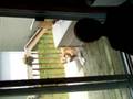 videos de Tegan & Howling Dog #2
