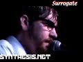 Synthesis.net Surrogate live from the BMU