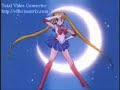 Revolver Ocelot vs. Sailor Moon