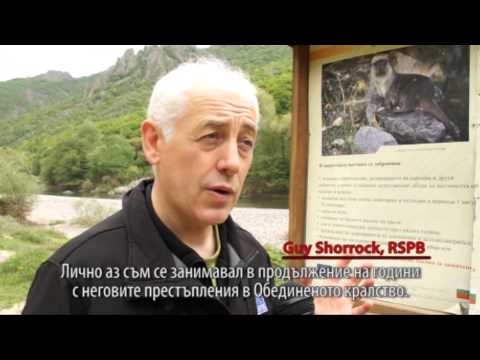 Случаят Росс