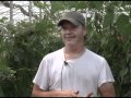 From the earth to your plate; one university's lesson in sustainable agriculture