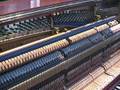 Bluthner 1890's upright piano plays Claude Debussy Passepied