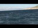 AquaOdysseas:3D Interactive Travel Guides-LOS CABOS -Fishing