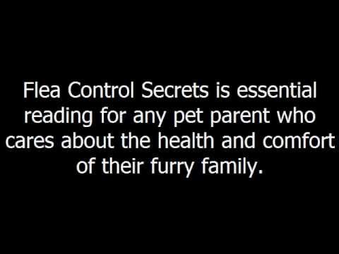 how to treat 8 week puppy for fleas