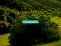 Car advert Car advert