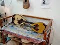 old mandolins