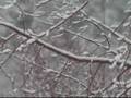 Denver Blizzard 2