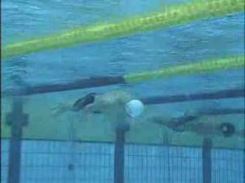 See video