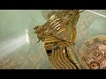 Uncharted 2 Crushing: Chapter 9 Tre …