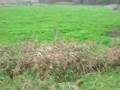 wandelgebied asterdplas