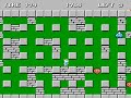 read this before: there are eight different power-ups. some are more rare or valuable than others, but it's a good idea to make sure you find the particular power-up hidden in every stage. to miss out on one is to put bomberman, at a disadvantage. also there are a bonus items that are very difficult to come upon, each more difficult than the last. only one particular bonus item is available to you on each stage. you not only need to know how to make each bonus item appear, you also need to know which bonus item it is that you are attempting to trigger, making them nearly impossible to find without advanced knowledge. for example: the level 12 has a bomb power-up and also has a bottle item. the bomb power-up increase you explosion range. and the bottle gives you 30.000 points. in order to obtain the bottle 