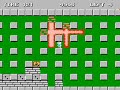 read this before: there are eight different power-ups. some are more rare or valuable than others, but it's a good idea to make sure you find the particular power-up hidden in every stage. to miss out on one is to put bomberman, at a disadvantage. also there are a bonus items that are very difficult to come upon, each more difficult than the last. only one particular bonus item is available to you on each stage. you not only need to know how to make each bonus item appear, you also need to know which bonus item it is that you are attempting to trigger, making them nearly impossible to find without advanced knowledge. for example: the level 12 has a bomb power-up and also has a bottle item. the bomb power-up increase you explosion range. and the bottle gives you 30.000 points. in order to obtain the bottle 
