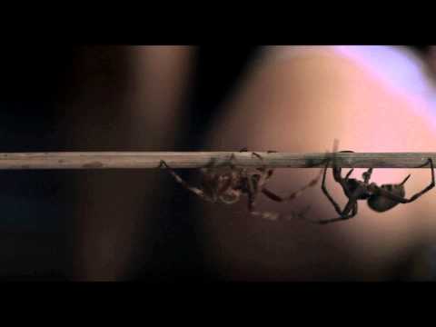 《邪惡淨土》中文預告