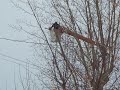 Kodak Z1085 IS TEST (IN MAX ZOOMING)