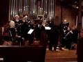 Sheep May Safely Graze from Cantata BWV 208 JS Bach