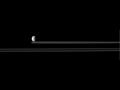 Saturn Moons In Motion