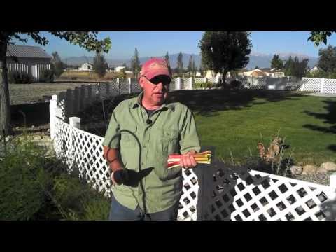 how to fertilize rhubarb