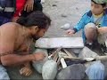 chango autoctono chango autoctono