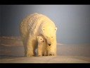 Worried about Global Warming?