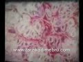 Mustafa D�zg�nman - Geleneksel T�rk Ebru Sanat?