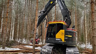 Gallring med Volvo grävmaskin och Logmax