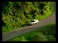 Muere Conejito en la Carretera