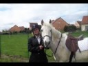 Audrey' . & Ouragan de Messey - CSO Sennecey