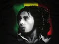 Provokal Feat. Bob Marley - True Love