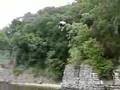 Rope swing land between the lakes on kentucky lake.