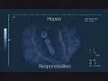 Ver Video