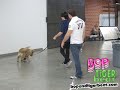 Joe Jonas and Elvis the dog!