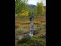 Lapland 2008 Kungsleden (Abisko - Nikkaluokta)