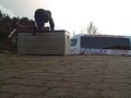 one day parkour