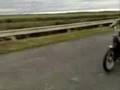 vespa-ciao-proma-cir