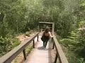 Parque da Ferradura - Canela RS