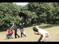 frisbeedog shenzhen of china party