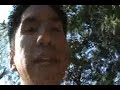 The Secret Law of Attraction MLM Success Formula (Vol. 1)