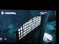 Assassin's Creed Glitch