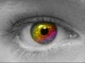 Assistir ao v�deo