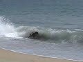 skimming skimming