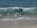skimming