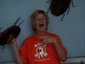 La cucaracha The cockroach La cucaracha The cockroach