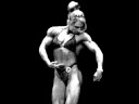denise masino