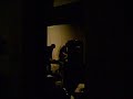 Dog w/ special guests Live @ Pharoah\
